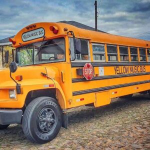 3D printable model  –  B700 School Bus