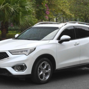 3D printable model  –  CDX 2016